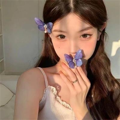 金鹰宝藏